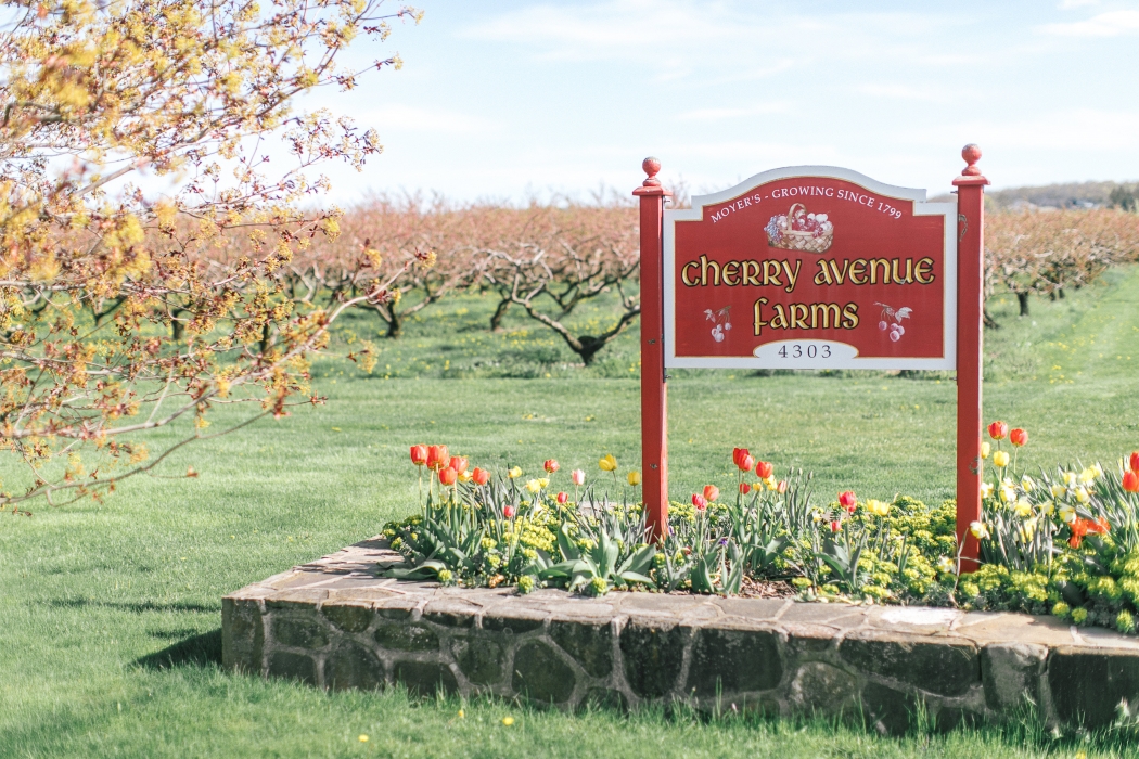 200 year old family owned farm and wedding venue}