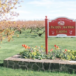 200 year old family owned farm and wedding venue