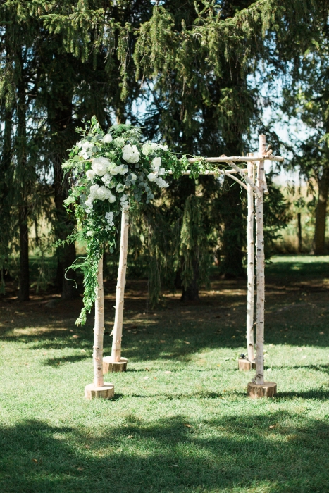 Cambium Farms, birch arbor}