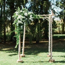 Cambium Farms, birch arbor