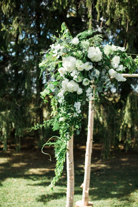 Cambium Farms, Birch arbor}