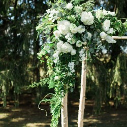 Cambium Farms, Birch arbor